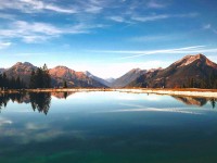 神马影院反向读法：先导语拆两句，再回头确认主语一致吗