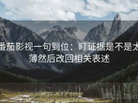 番茄影视一句到位：盯证据是不是太薄然后改回相关表述